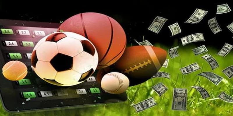 Thể thao trực tuyến 7m
