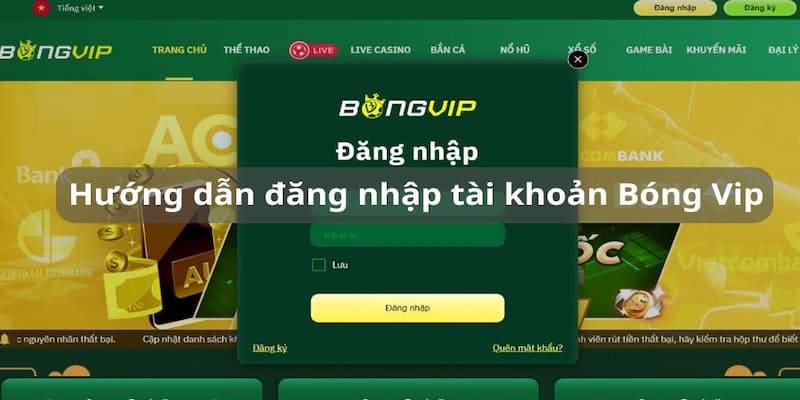 Giới thiệu về Bongvip - Sân chơi giới trẻ cho anh em cá cược